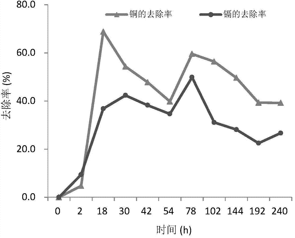 Method and device for synchronously removing various heavy metals in agricultural non-point source sewage