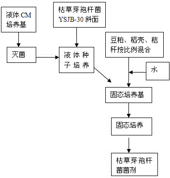 Swine bacillus subtilis and feed probiotic prepared by solid fermentation by using swine bacillus subtilis