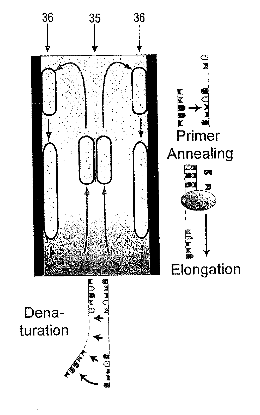 Method and Apparatus for Amplifying Nucleic Acid Sequences