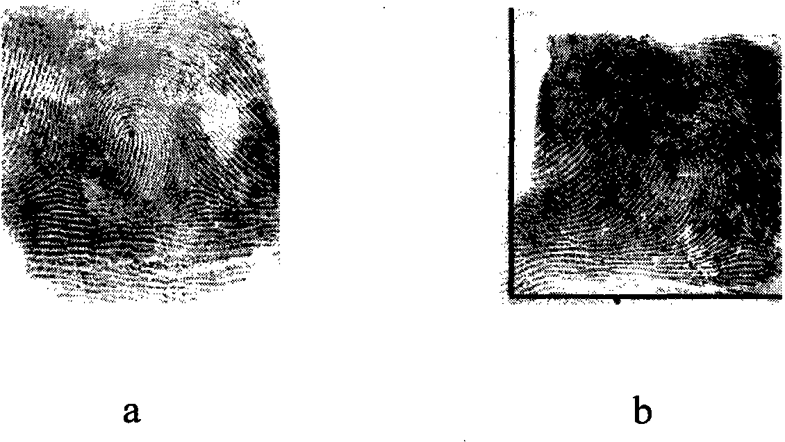 Fingerprint frame line filtering method