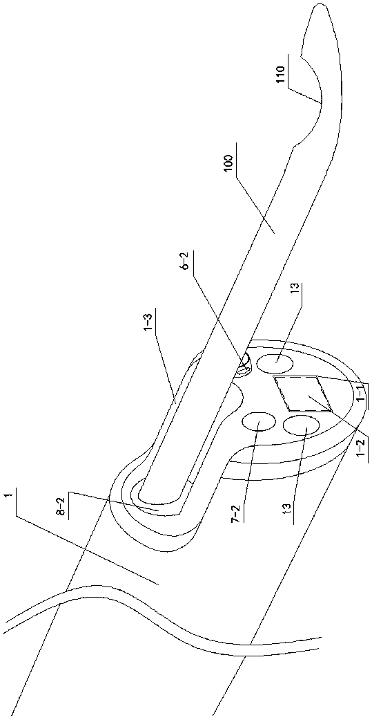 Portable Visual Intrauterine Insemination Device for Dogs