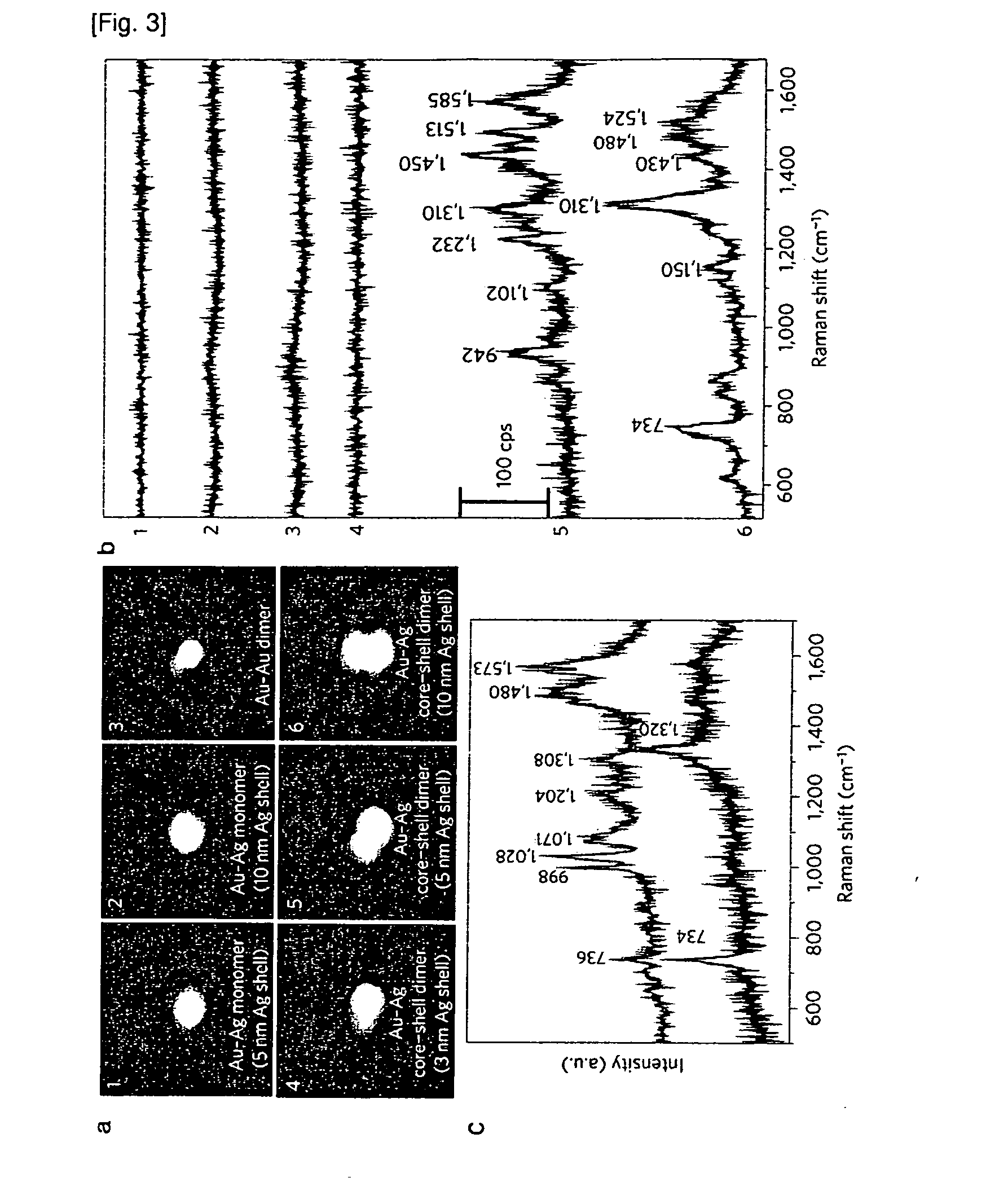 Dimeric core-shell nanostructure labeled with raman active molecule localized at interparticle junction, use thereof, and method for preparing the same