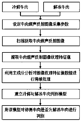 Identification method for cold fresh beef and unfrozen beef based on ultrasonic imaging technology