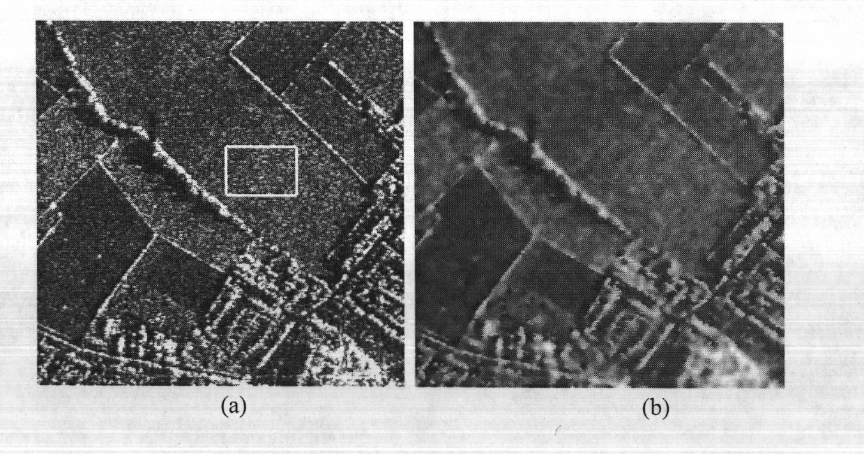 Synthetic aperture radar image denoising method based on non-down sampling profile wave