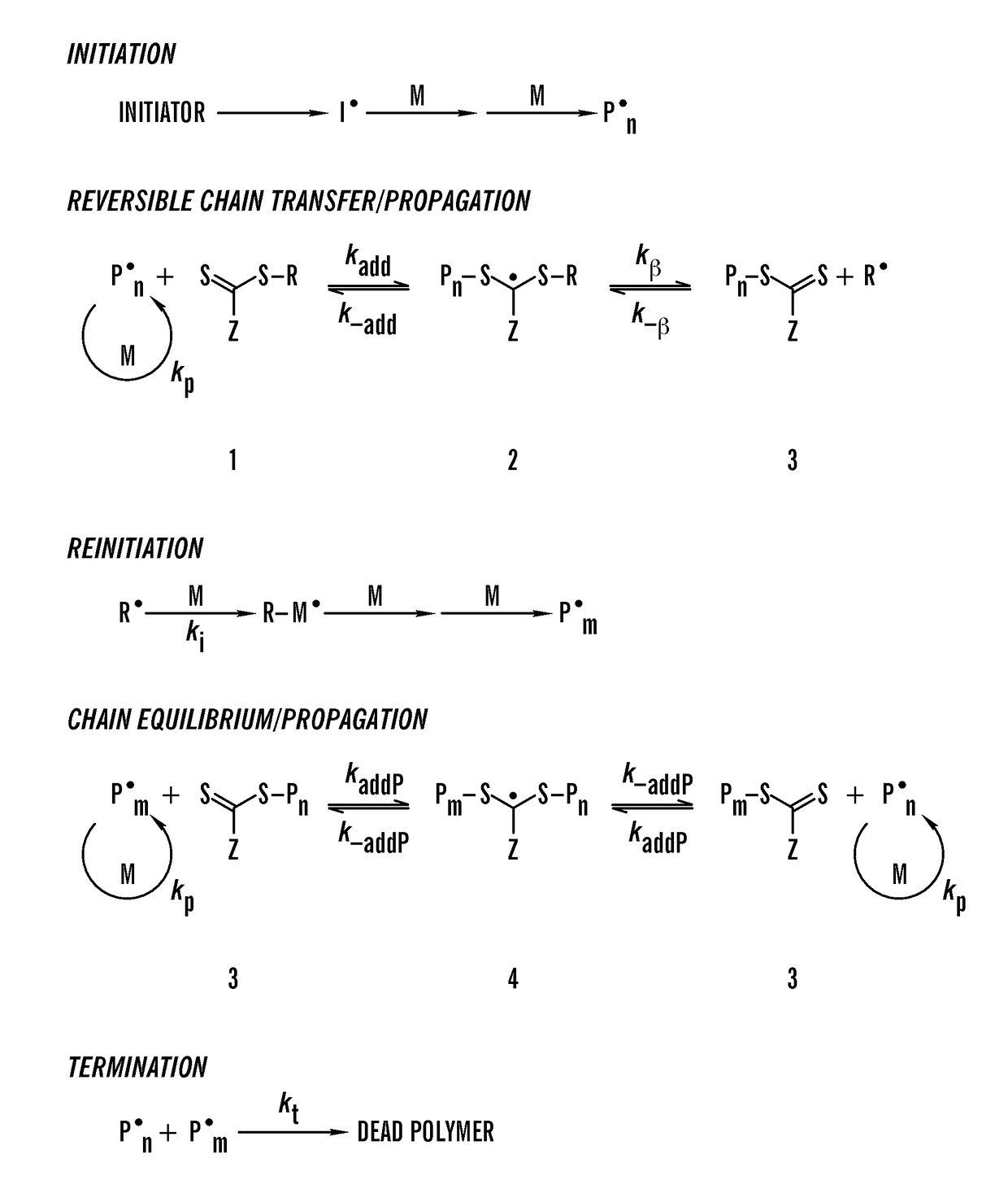 Thermoplastic elastomers via reversible addition-fragmentation chain transfer polymerization of triglycerides
