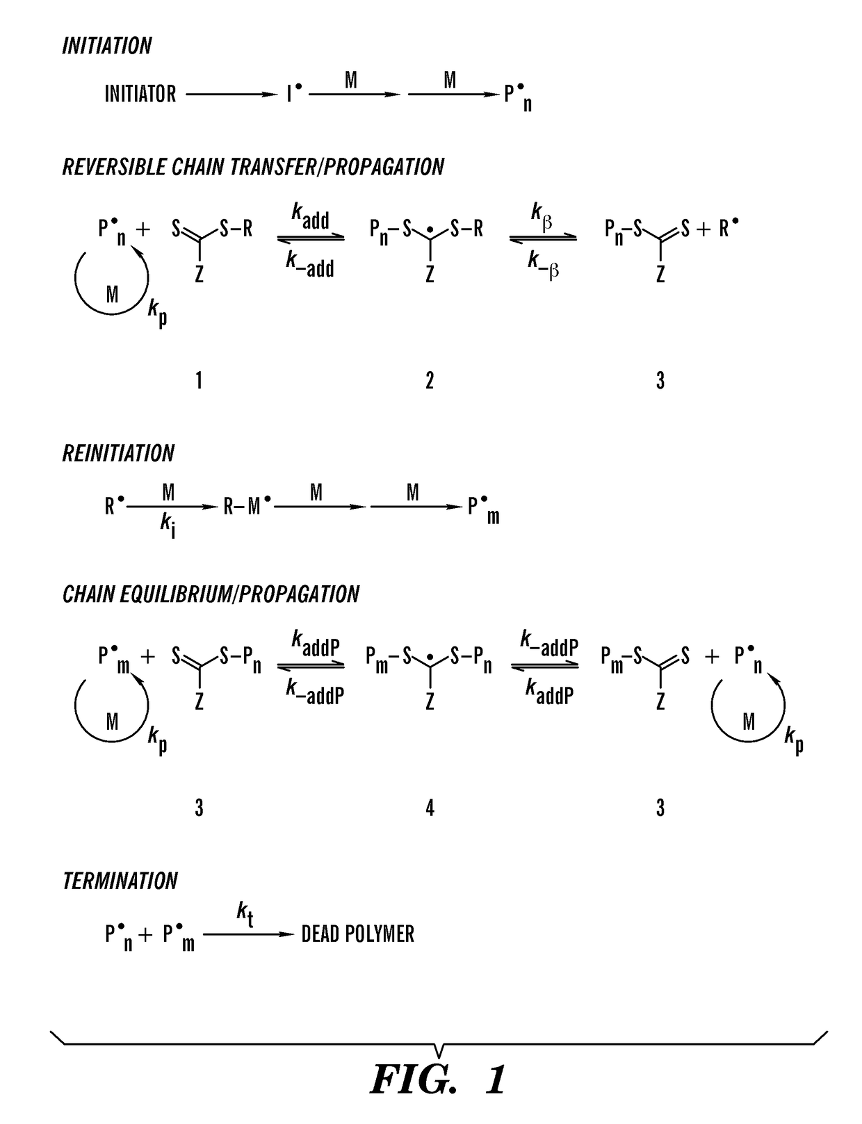 Thermoplastic elastomers via reversible addition-fragmentation chain transfer polymerization of triglycerides