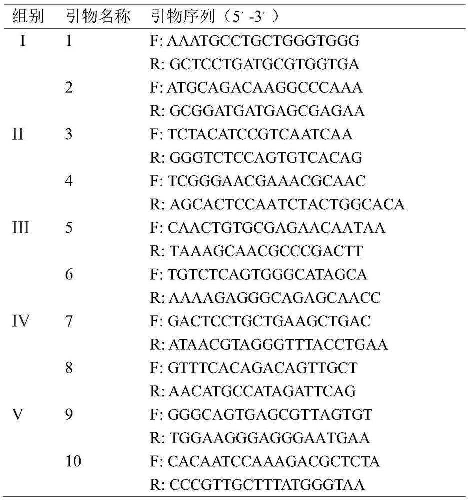 Double pcr method applied to identification of herring phylogenetic relationship
