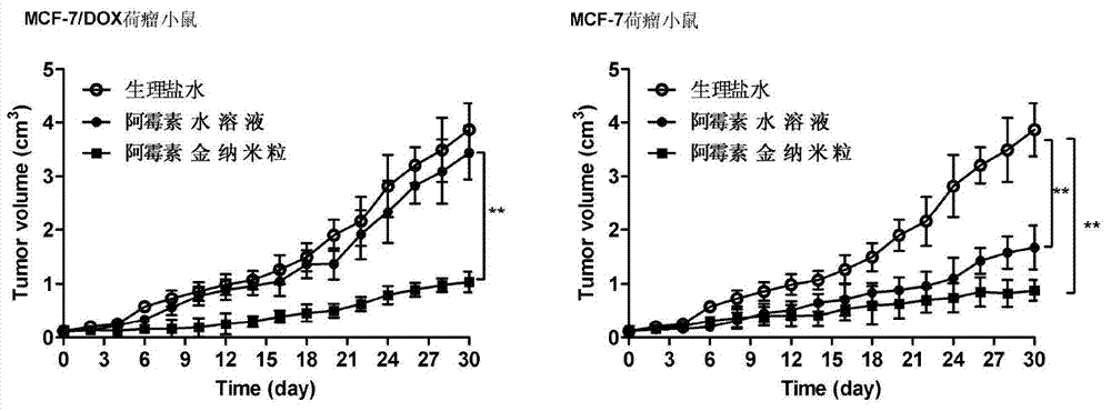 Targeting preparation for resisting drug-resistant tumor, as well as preparation method and application thereof