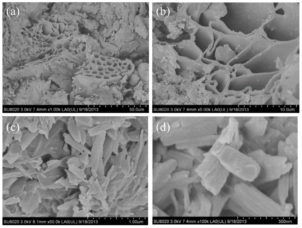 A magnetic carbon-based composite environmental material and its preparation method and application