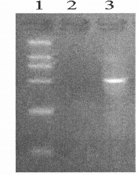 Method for cleaning and reusing microdissection sample-collecting tubes