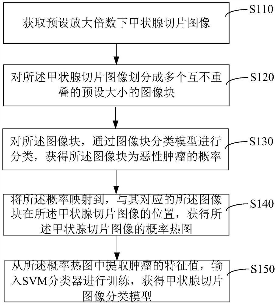 Thyroid slice image classification model training method and device