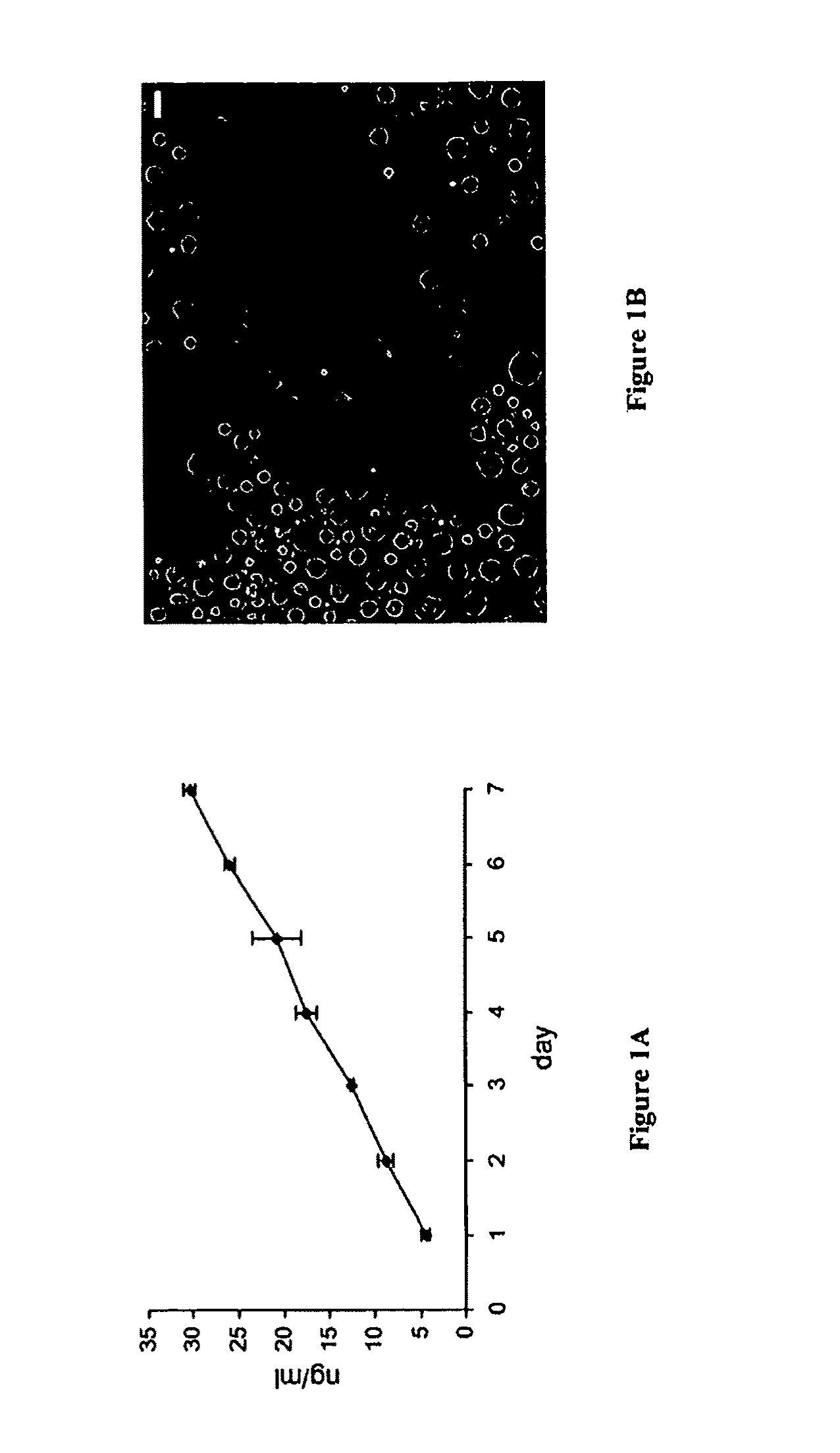 Methods and compositions for delivery of exogenous factors to nervious system sites