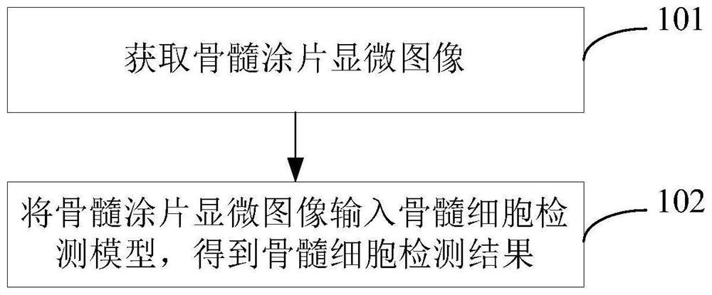 Bone marrow smear microscopic image analysis method and device, electronic equipment and storage medium