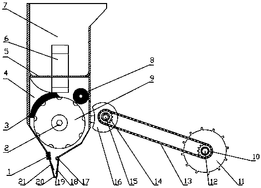 Hole sowing device of seeder