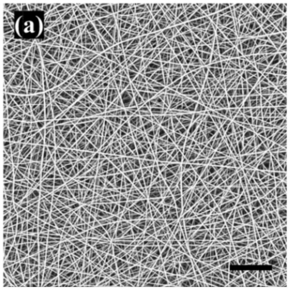 Nanofiber dressing and preparation method thereof