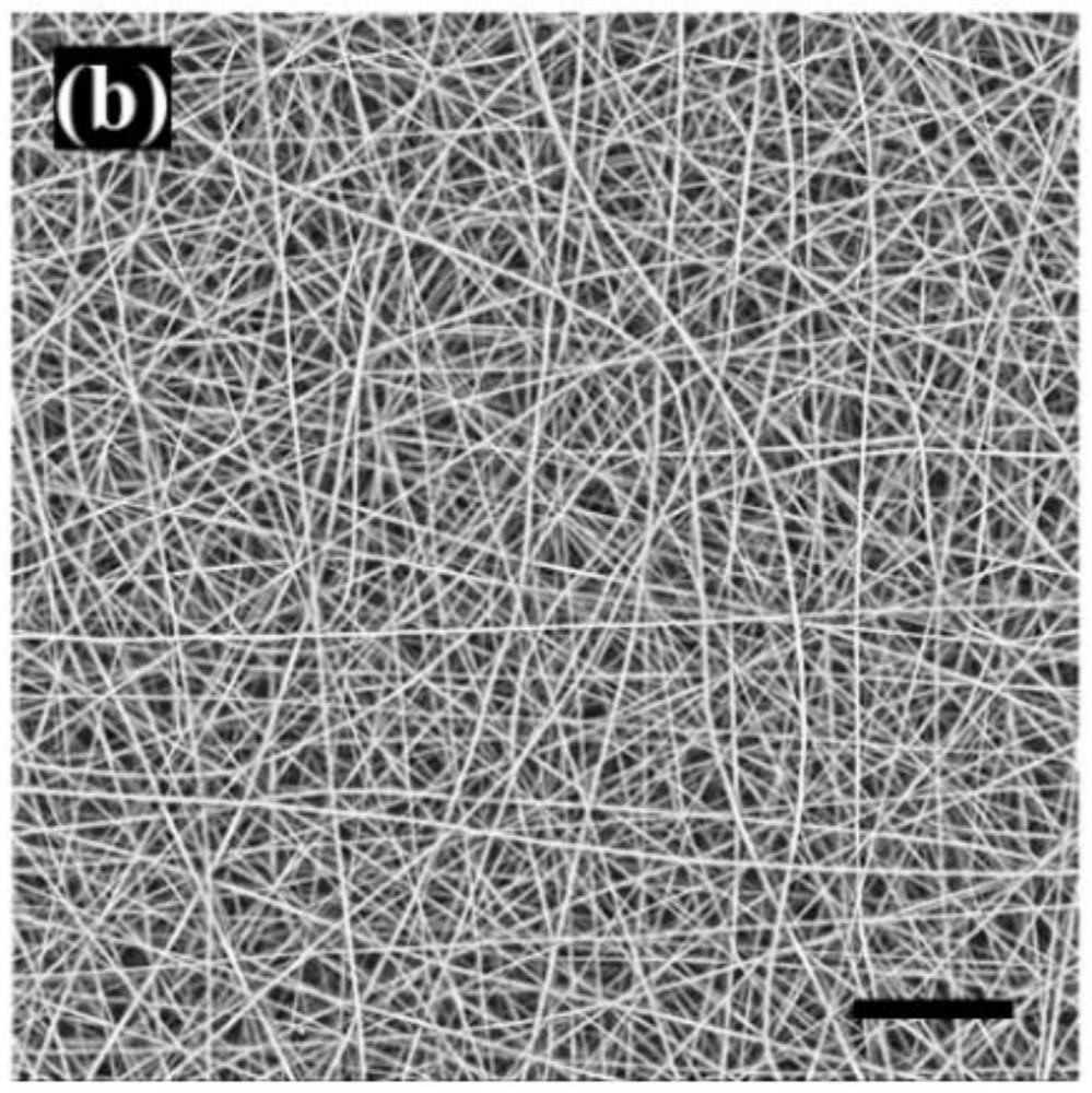 Nanofiber dressing and preparation method thereof