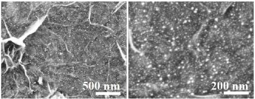 Double-carbon coupling transition metal nickel-based quantum dot electrocatalyst and preparation method thereof