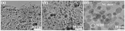 Double-carbon coupling transition metal nickel-based quantum dot electrocatalyst and preparation method thereof