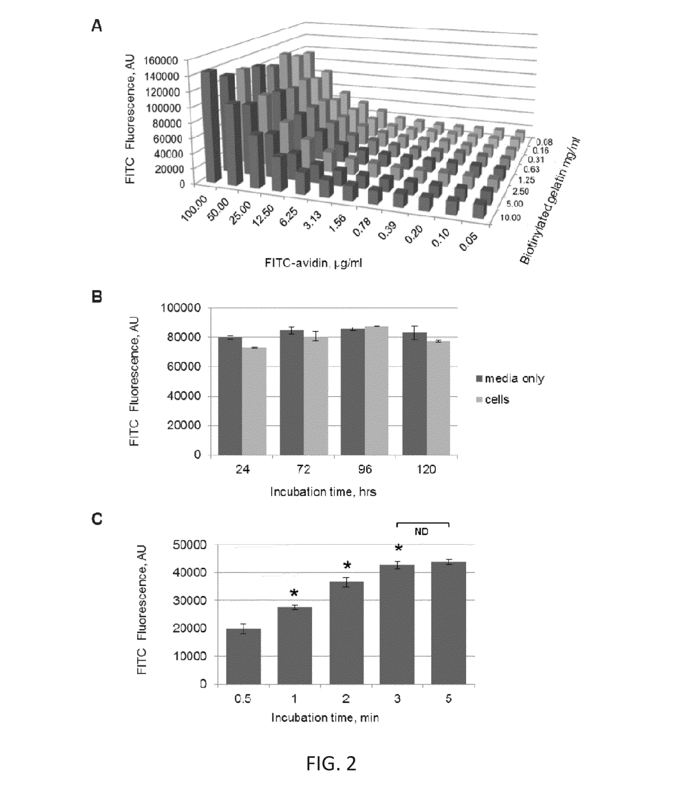 Methods and Compositions for Measuring Cell Permeability