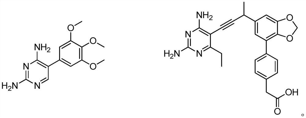 Iron carrier-dihydrofolate reductase inhibitor conjugate and application thereof