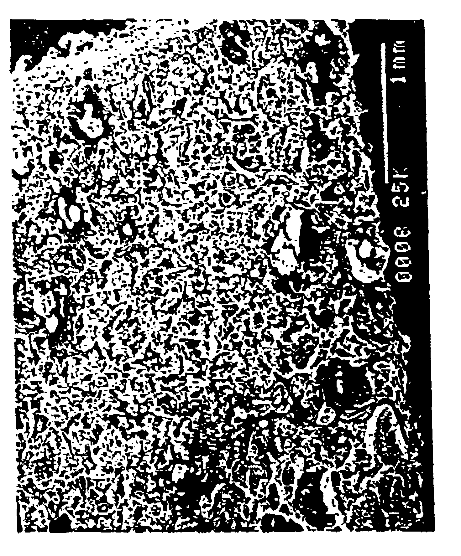 Thermoplastic polymer propellant compositions
