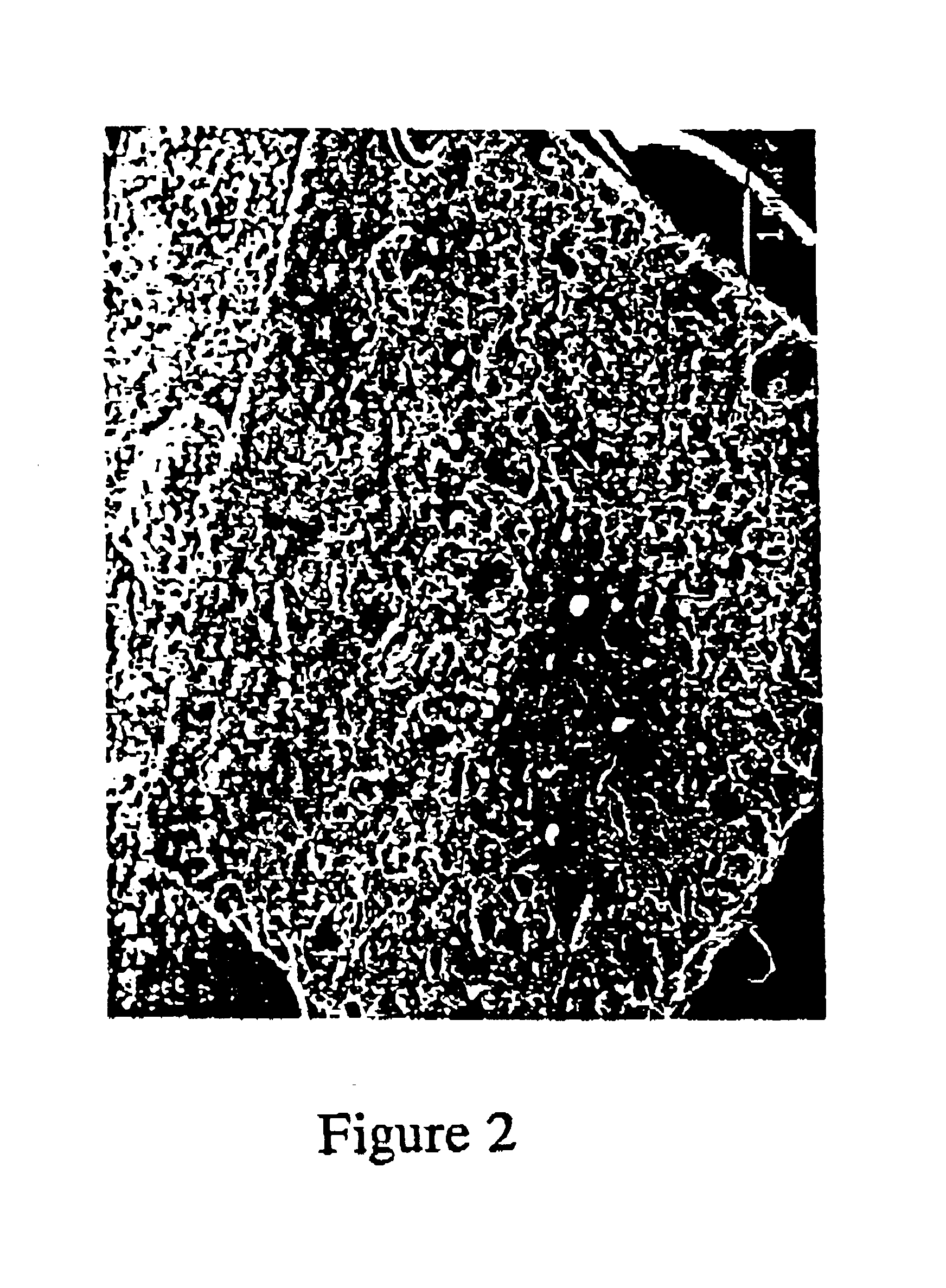 Thermoplastic polymer propellant compositions