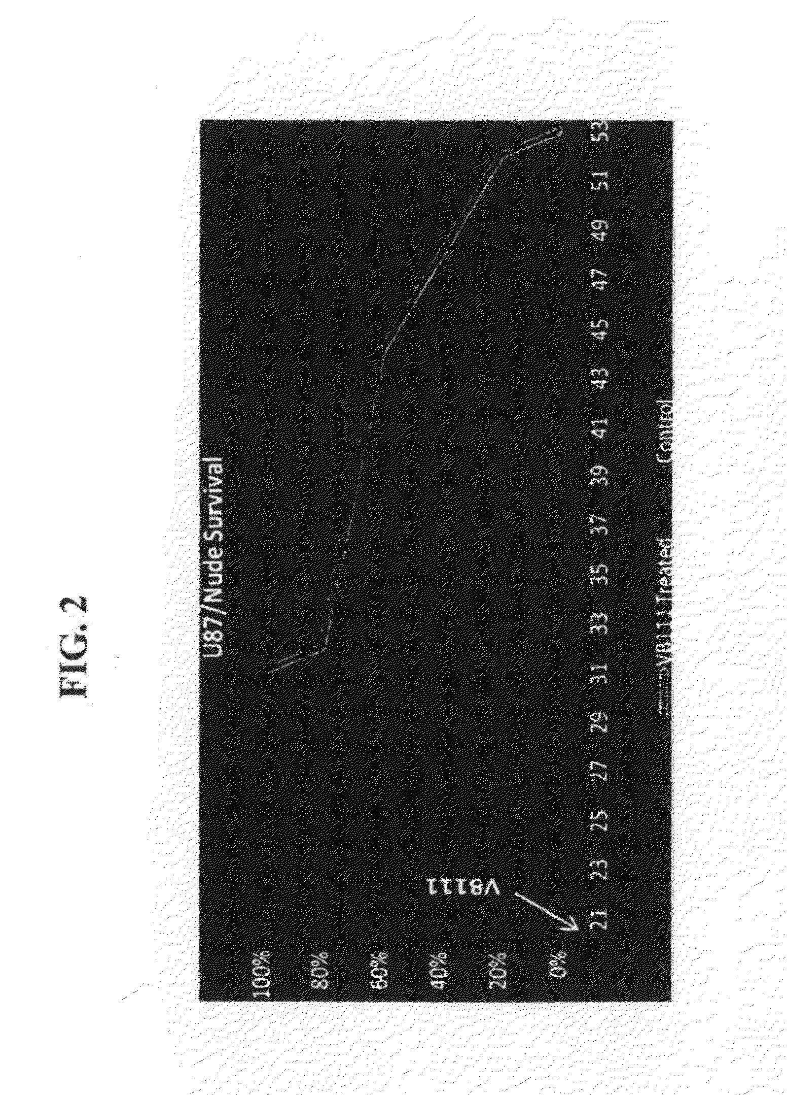 Compositions and Methods for Treating Glioblastoma GBM