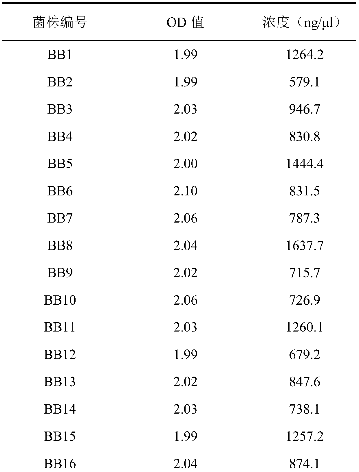 Core SNP markers and their applications for differentiating between ovine and bovine brucella