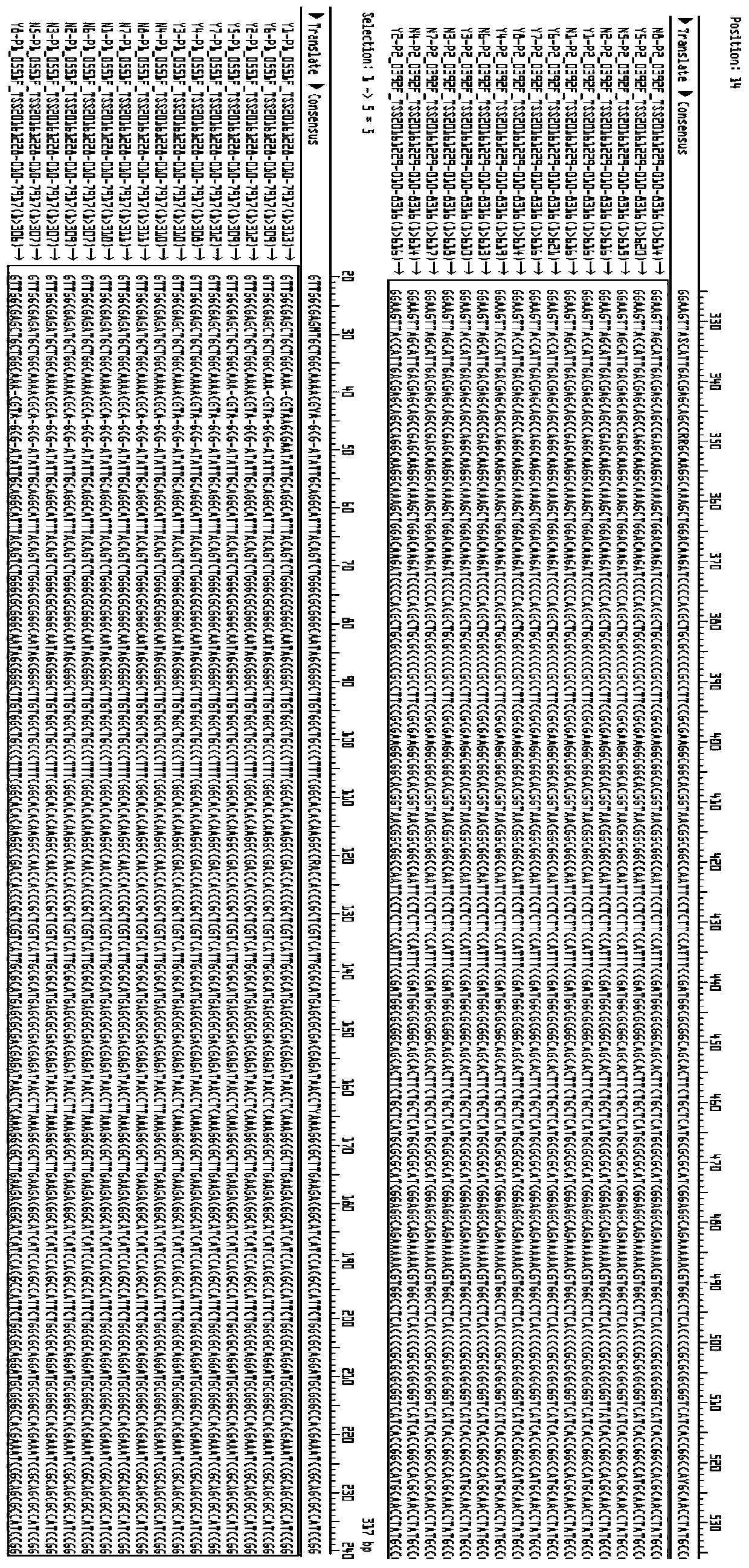 Core SNP markers and their applications for differentiating between ovine and bovine brucella