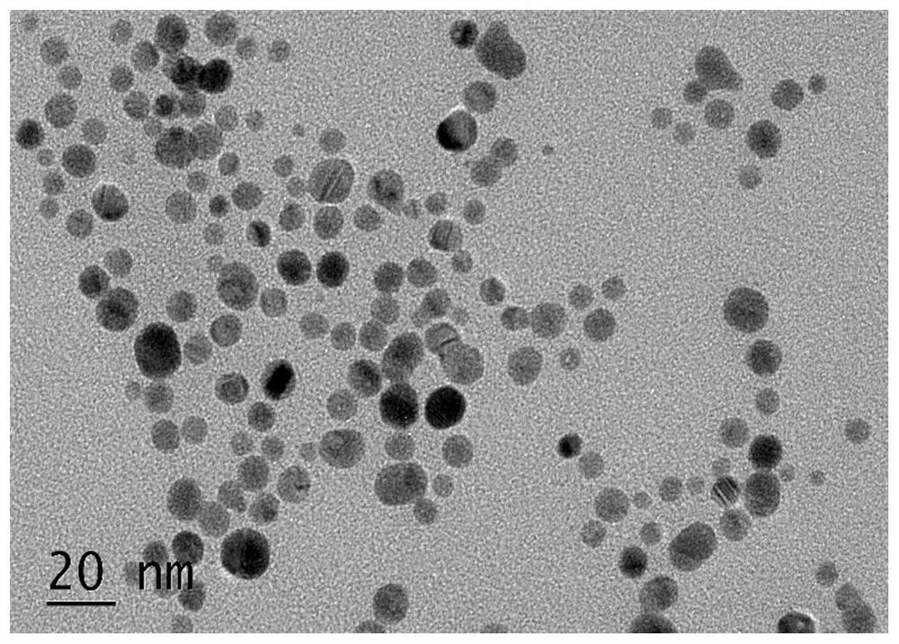 Photocatalytic material for efficiently removing high-concentration nitrate through photocatalysis as well as preparation method and application of photocatalytic material