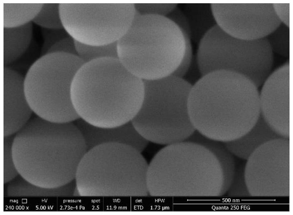 Photocatalytic material for efficiently removing high-concentration nitrate through photocatalysis as well as preparation method and application of photocatalytic material