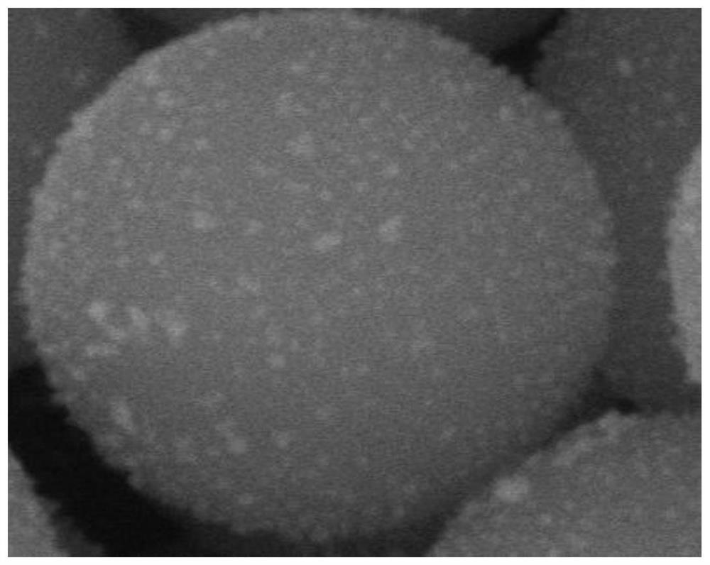 Photocatalytic material for efficiently removing high-concentration nitrate through photocatalysis as well as preparation method and application of photocatalytic material