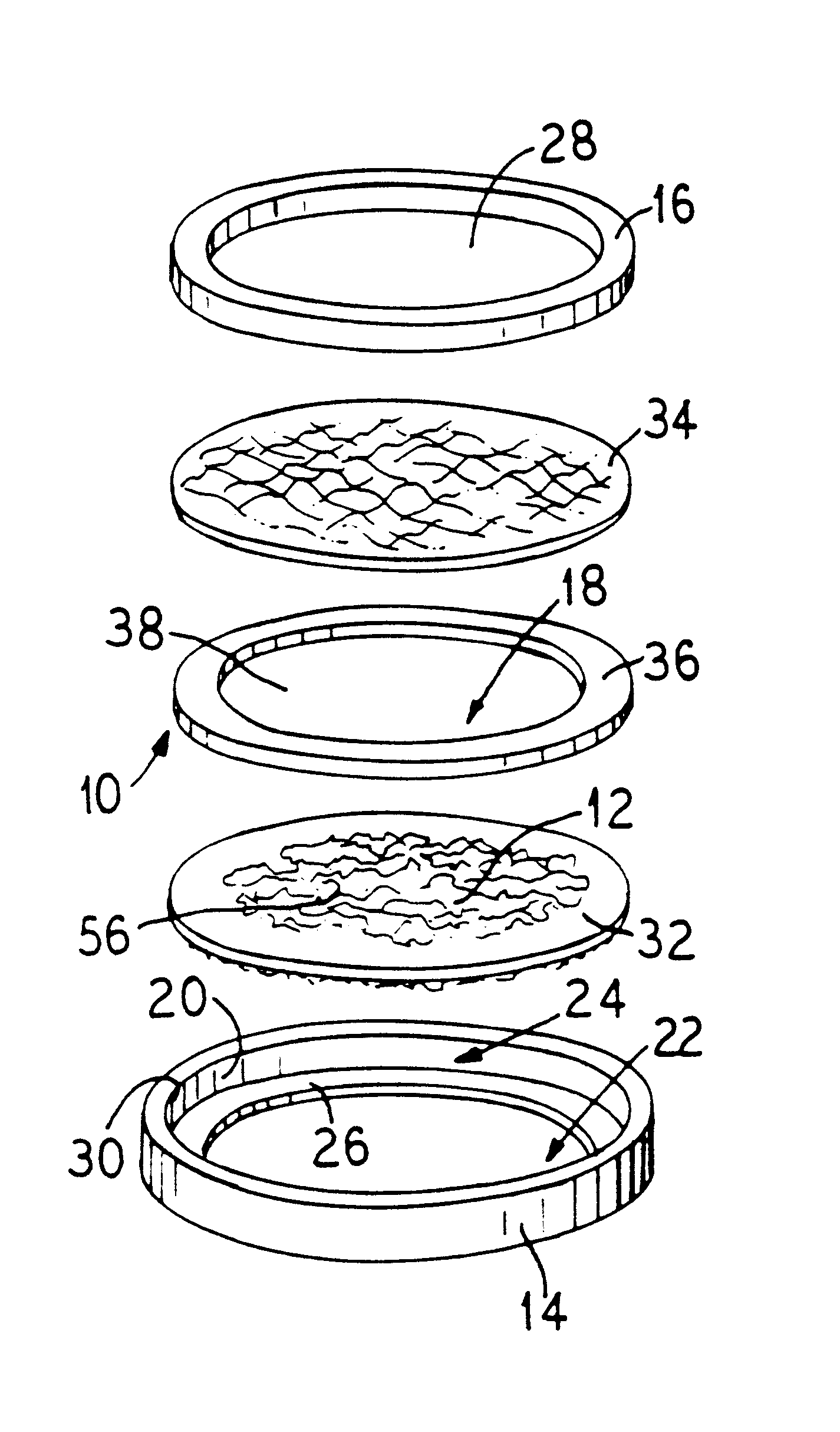 Angiogenic tissue implant systems and methods