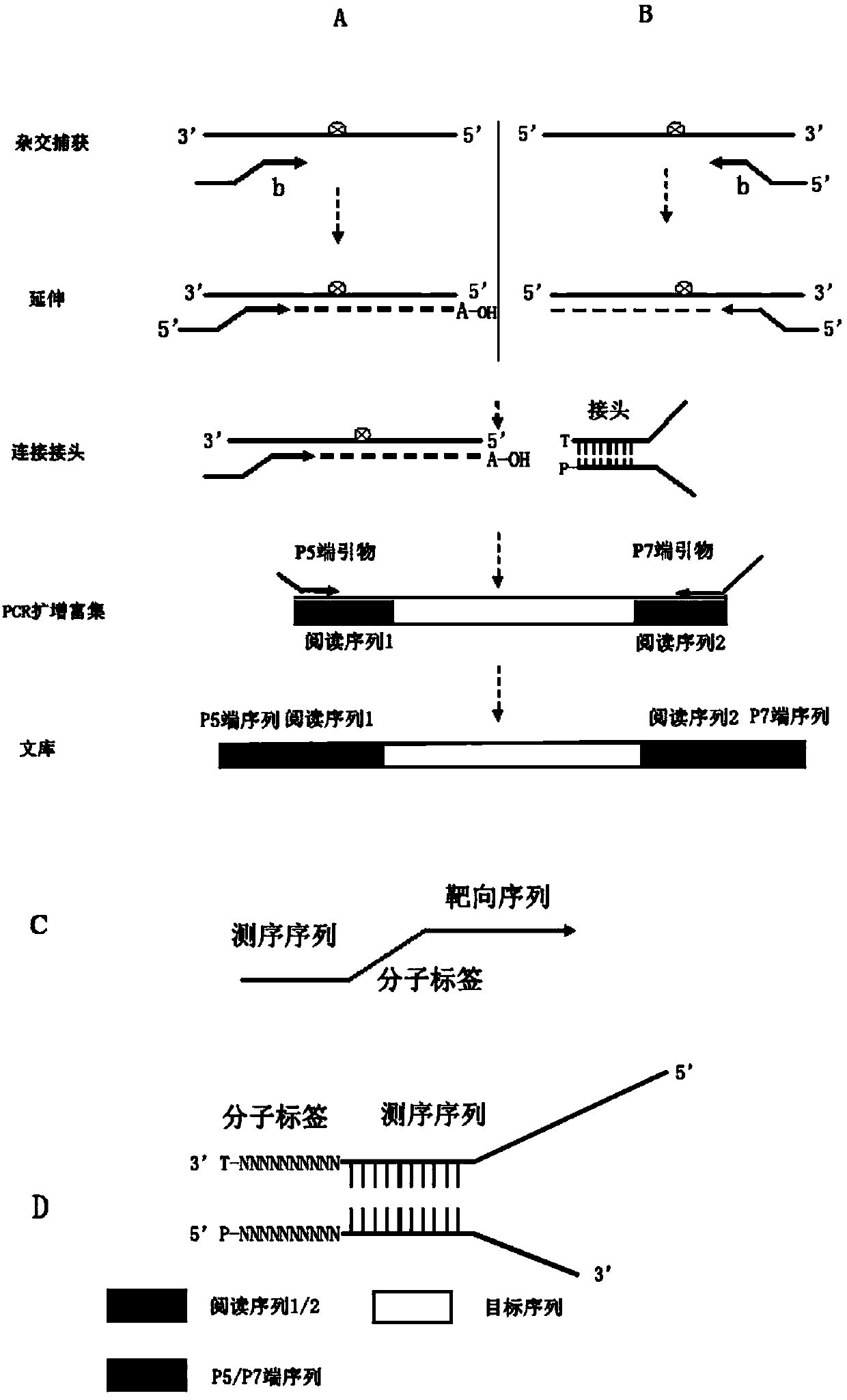 Detection method of low requency mutated DNA fragment and library building method