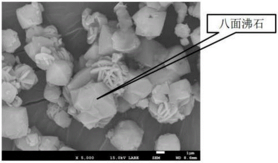 Method for preparation of faujasite from oil shale residue