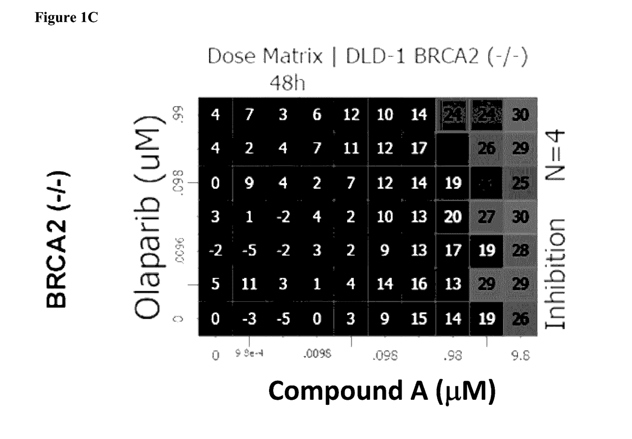 Combination therapy of tetracyclic quinolone analogs for treating cancer