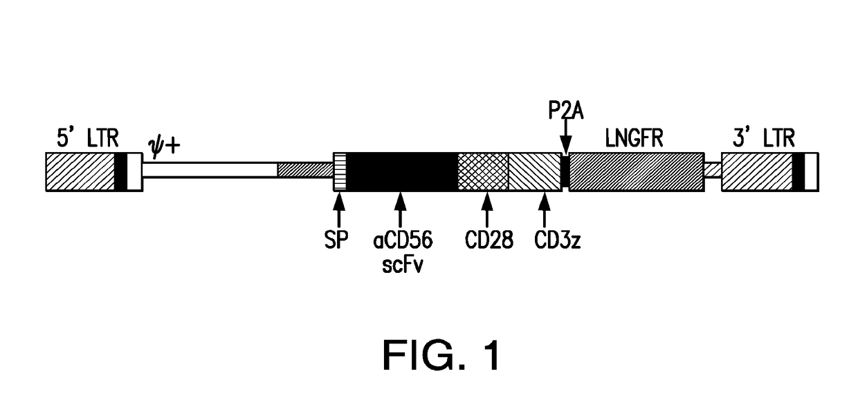 Antigen-binding proteins targeting cd56 and uses thereof