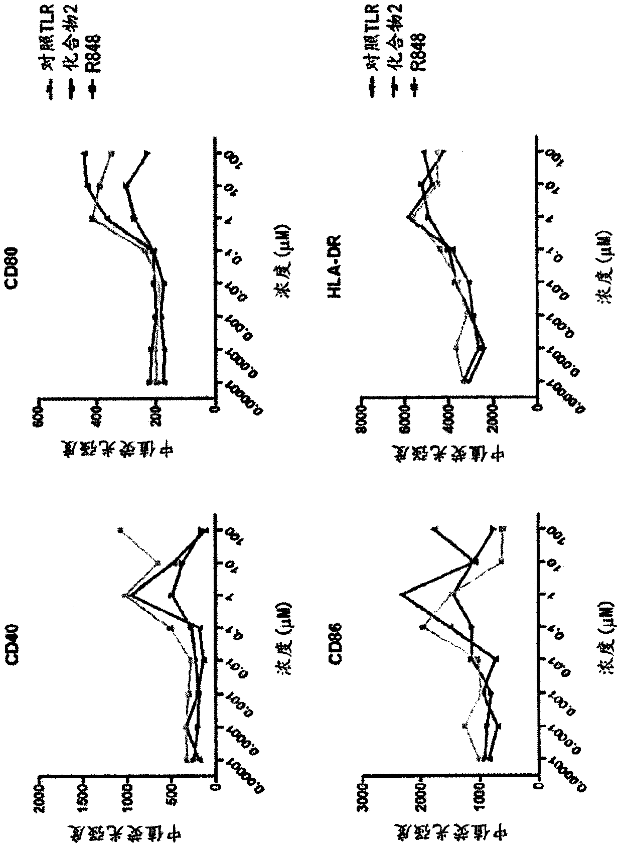 Antibody adjuvant conjugates