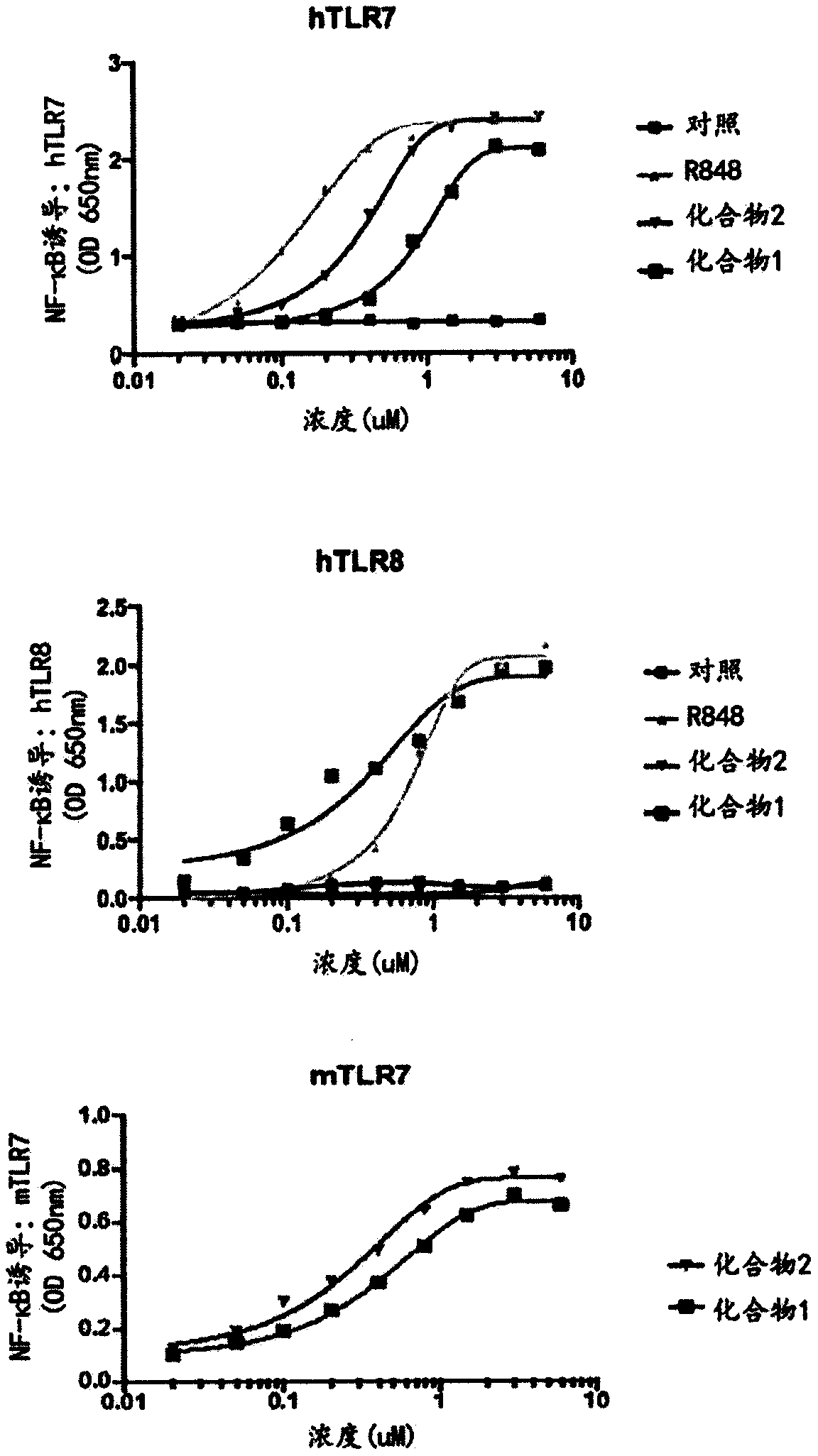 Antibody adjuvant conjugates