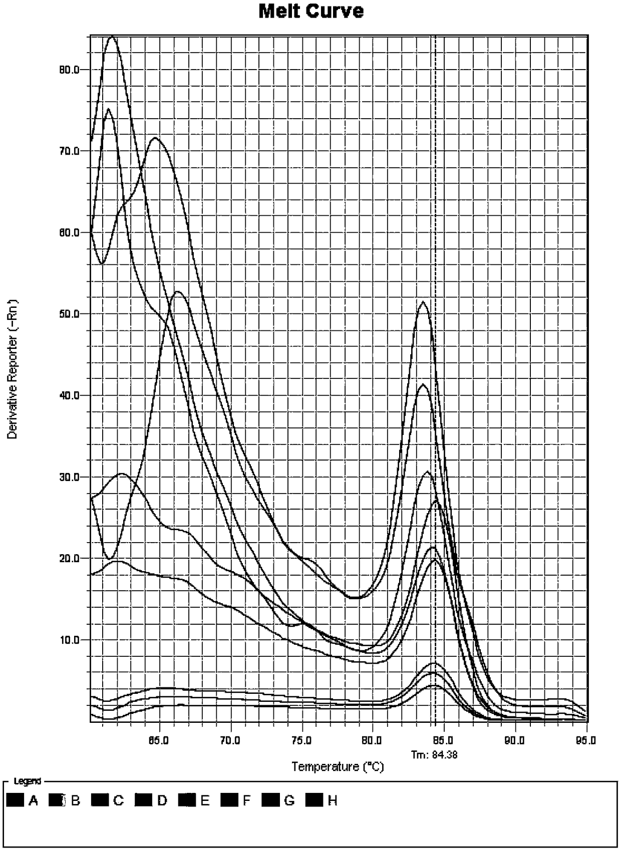 Screening method for reference genes in different tissues of cunninghamia lanceolata and application of screened genes as reference genes