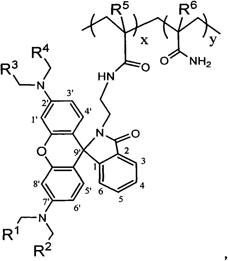 High-molecular pH probe containing rhodamine lactam group and synthetic method thereof