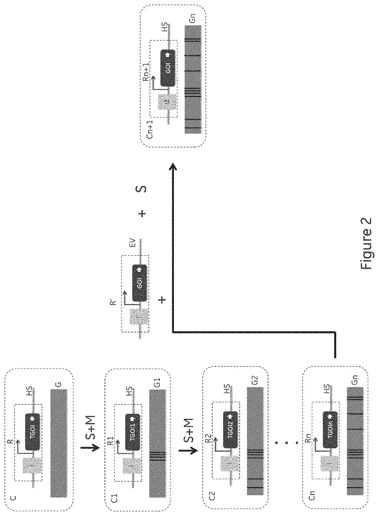 Method for cell line development