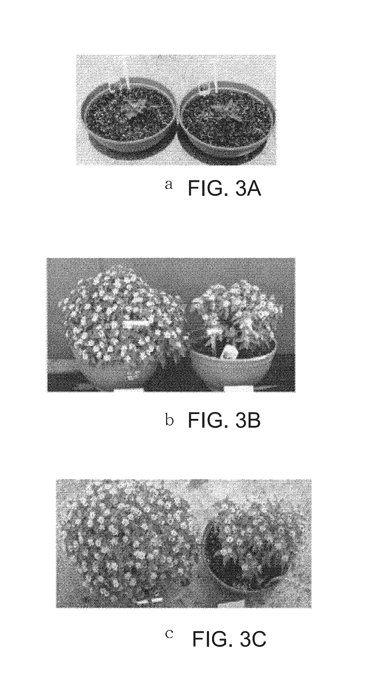 Method for raising plants and composition used therefor