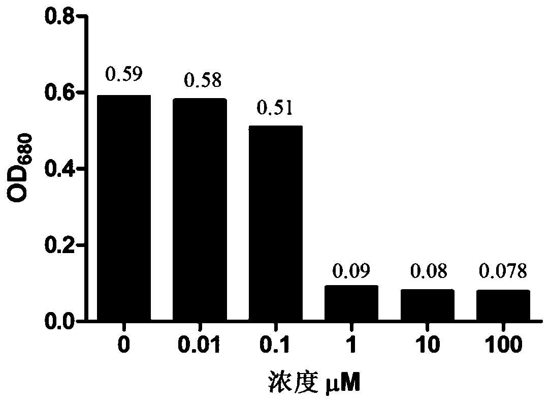 Method for removing heavy metals and blue-green algae in water