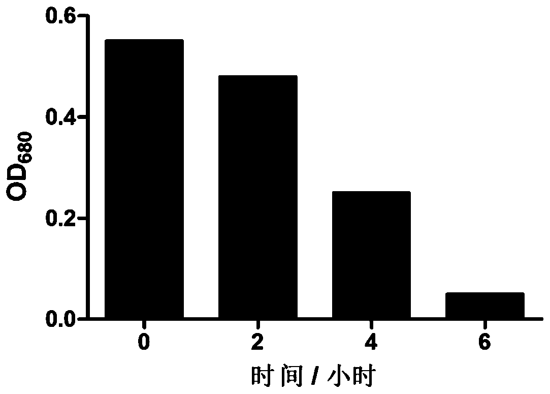 Method for removing heavy metals and blue-green algae in water