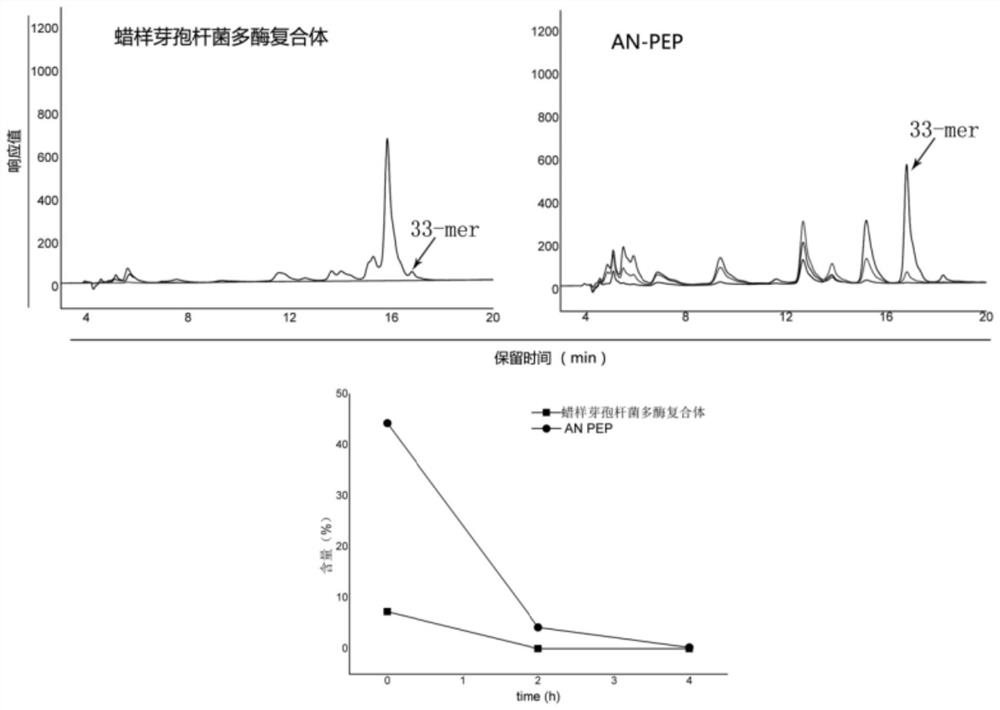 Multi-enzyme complex capable of efficiently degrading gluten protein and application of multi-enzyme complex