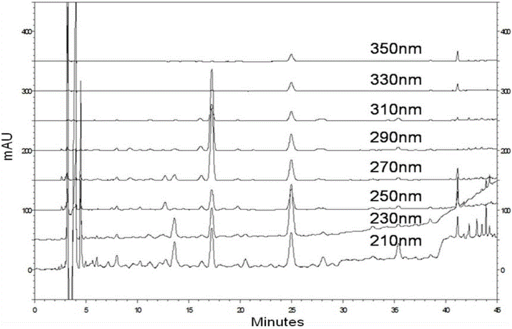 Morchella esculenta wine and method for establishing high-performance liquid phase fingerprint chromatogram thereof