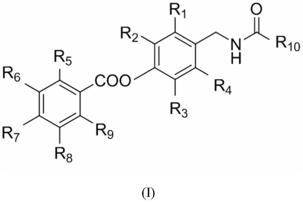 Derivatives containing capsaicin salicylate, preparation method and use