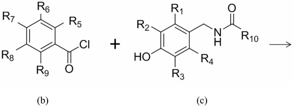 Derivatives containing capsaicin salicylate, preparation method and use