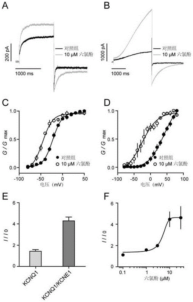 Application of hexachlorophenol in the preparation of voltage-gated potassium channel agonists